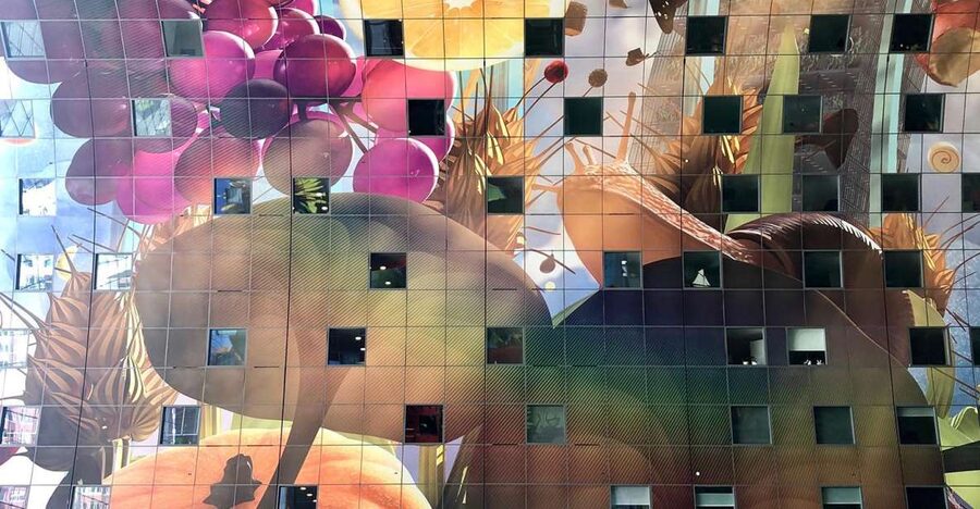 Rotterdam Architecture: Centre and South Bank with watertaxi - Key points to know before you book