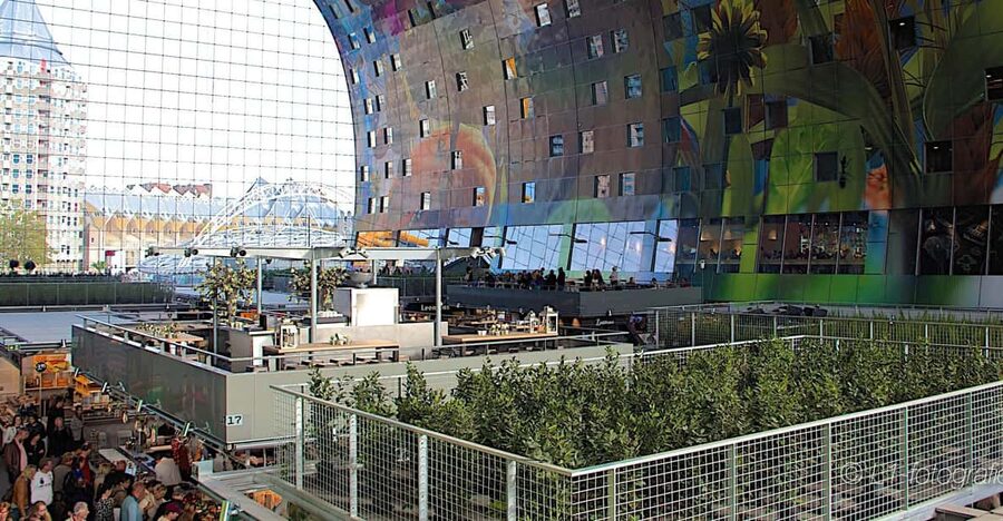 Rotterdam: City Center Walking Tour - Why this walk works as a Rotterdam introduction