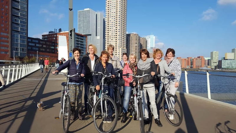 Rotterdam: City Highlights Guided Bike Tour - Erasmusbrug and the Rotterdam skyline