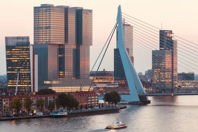 Rotterdam, Delft and The Hague Small Group Tour from Amsterdam - The Hague, courts, and government from the outside