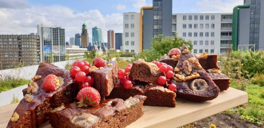 Rotterdam: Food Tour by Bike - Key things to know before you book