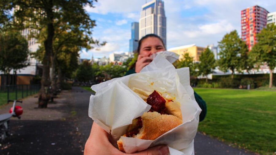 Rotterdam: Guided Food Tour - Walking through Oude Haven between bites