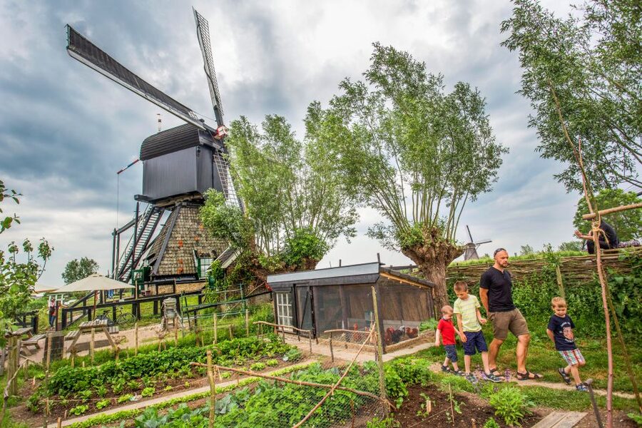 Rotterdam: Kinderdijk UNESCO World Heritage Entry Ticket - Key points before you go