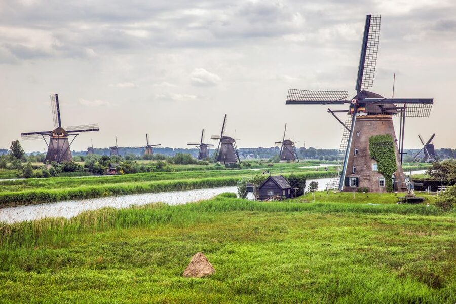 Rotterdam: Kinderdijk UNESCO World Heritage Entry Ticket - Is the $25 ticket good value?