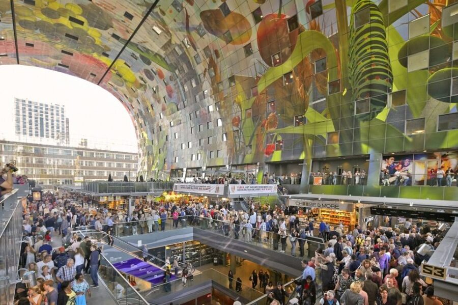 Rotterdam Tour with Cube House Admission - Erasmus Bridge and the wider city view