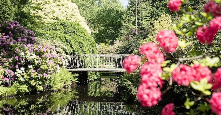 Rotterdam: Trompenburg Botanical Gardens Entry Ticket - Seasonal visits change the garden’s personality