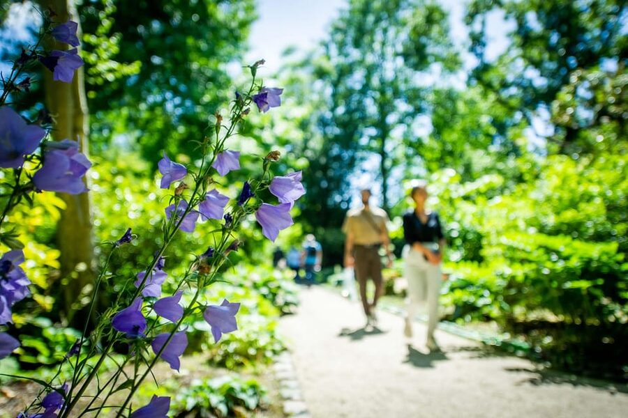 Rotterdam: Trompenburg Botanical Gardens Entry Ticket - Tea, lunch, and a slower finish