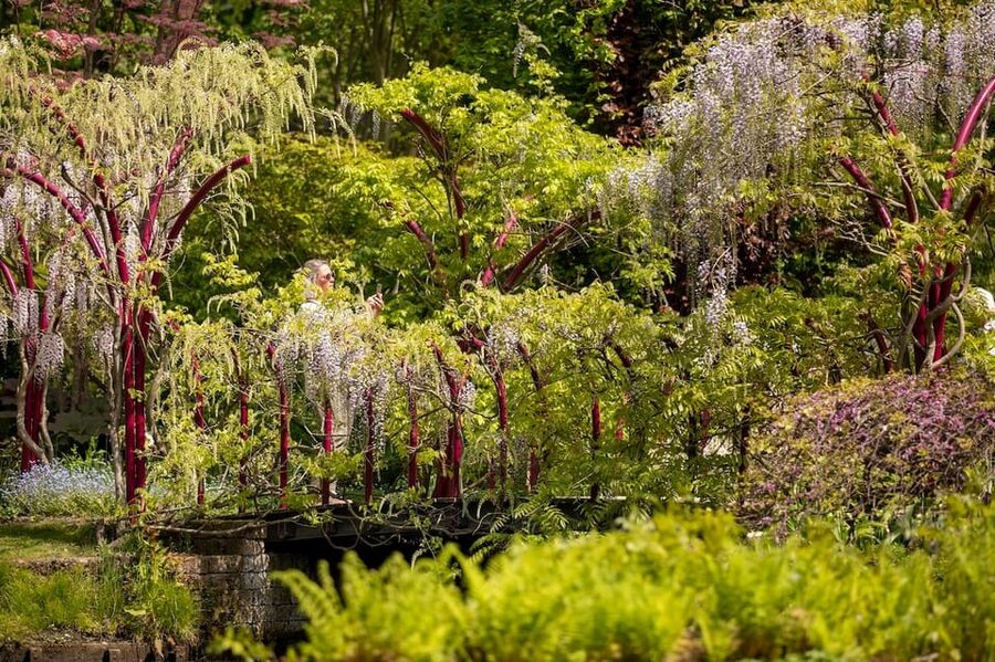 Rotterdam: Trompenburg Botanical Gardens Entry Ticket - Sunday activities can add more depth