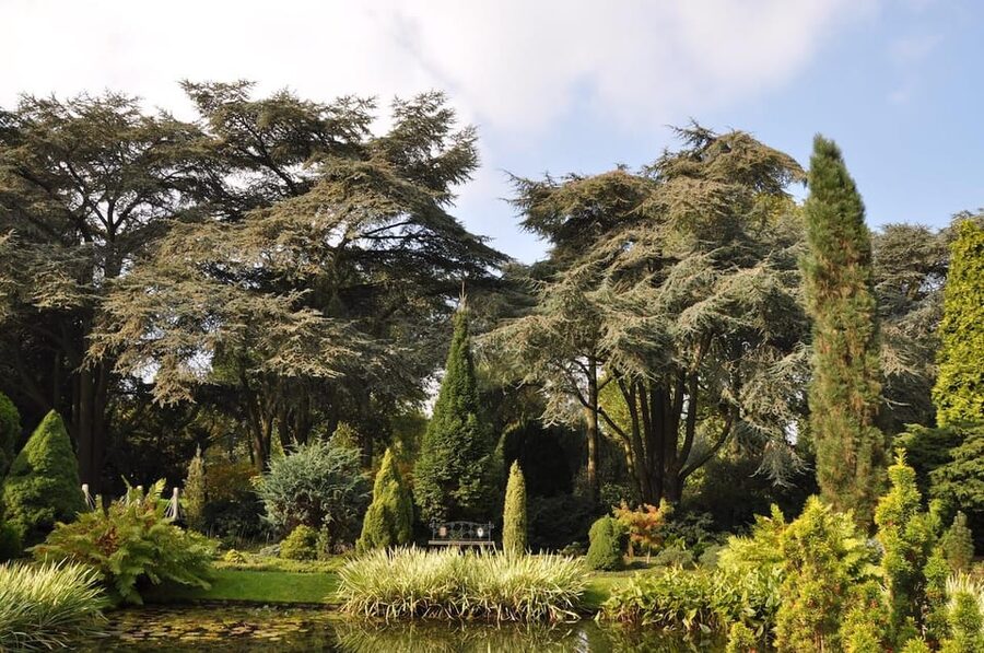 Rotterdam: Trompenburg Botanical Gardens Entry Ticket - How the $15 price works for your day