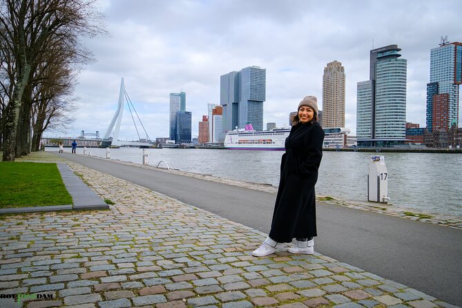 Rotterdam Walk: Hilights, Gems, Architecture & WWII | 2 or 3hrs - Crossing the story at Erasmus Bridge