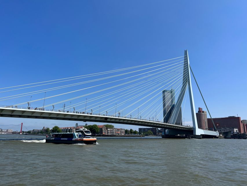 Rotterdam: Waterbus Ticket to Dordrecht and/or Kinderdijk - Taking Line 20 to Dordrecht