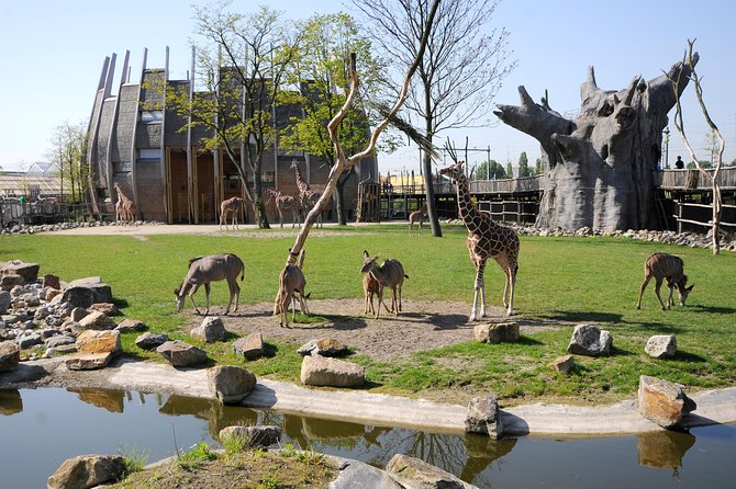 Rotterdam Zoo Diergaarde Blijdorp Direct Entrance Ticket - Key points to know before you go