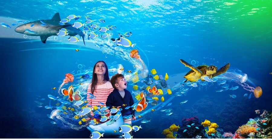Scheveningen, The Hague: Sea Life Entry Ticket - The underwater tunnel with sharks and rays