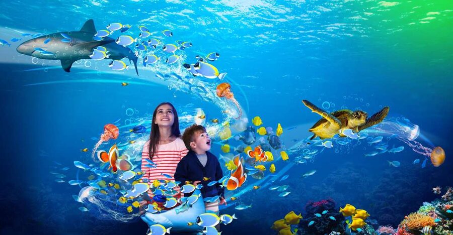 Scheveningen, The Hague: Sea Life Entry Ticket - Who will enjoy this aquarium most