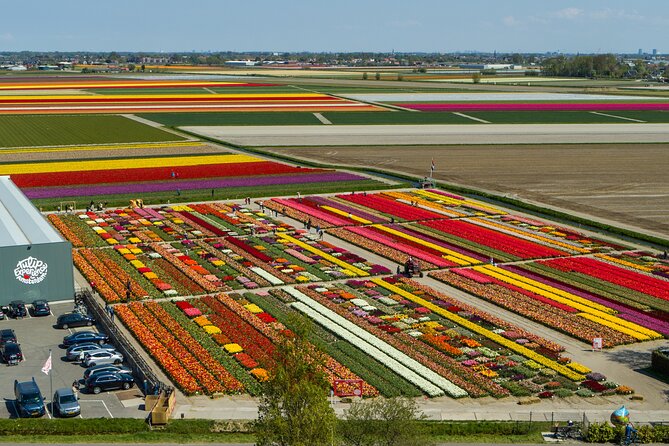 Sightseeing Keukenhof Tulip fields, Giethoorn tour from Amsterdam - Why this Amsterdam day trip works