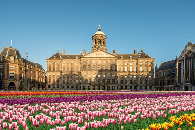 Skip-the-line Royal Palace of Amsterdam Private Guided Tour - Key points to know before you book
