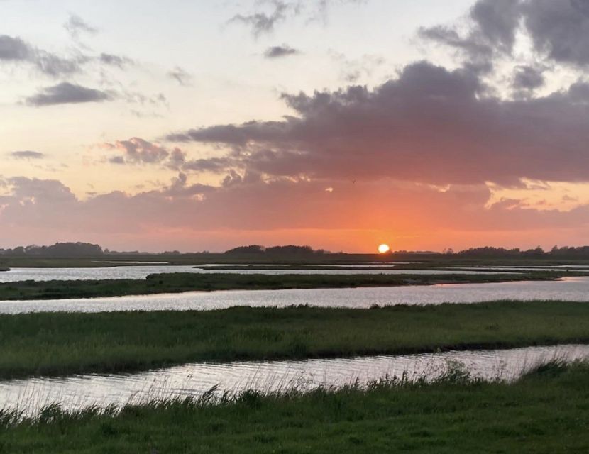 Small group full day island tour to Texel from Amsterdam - The 20-minute ferry ride to Texel