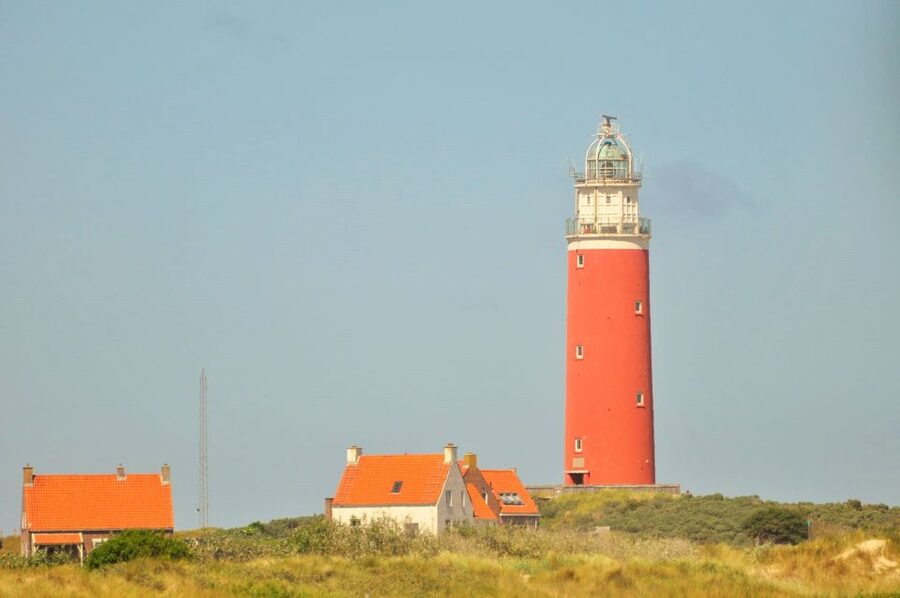 Small group full day island tour to Texel from Amsterdam - An optional-feeling highlight: seals and the dunes