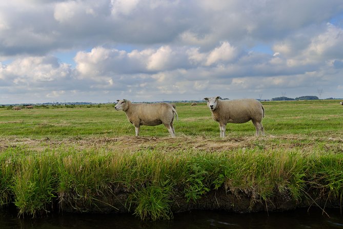 Small-Group Guided Sunset Canoe Tour in Waterland with Dinner - Swimming and weather in Waterland