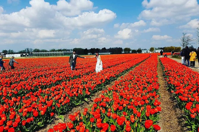 Small Group Keukenhof and Delft Guided Tour from Amsterdam - The Lisse bulb fields: beautiful, brief, and seasonal