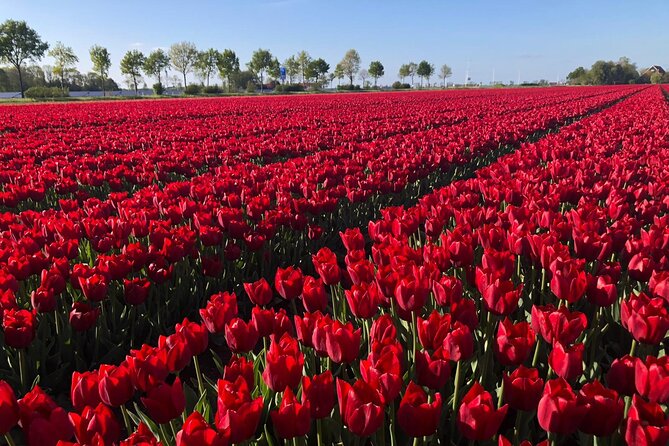 Small Group Keukenhof and Delft Guided Tour from Amsterdam - Delft’s canals, churches, and blue pottery