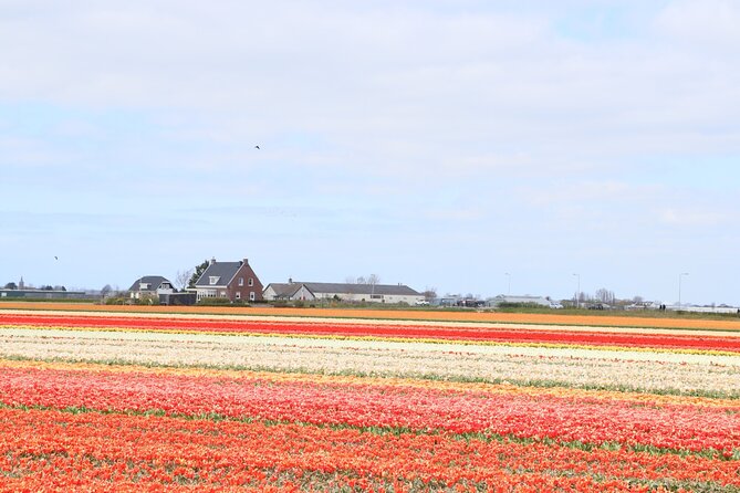 Small Group Keukenhof and Delft Guided Tour from Amsterdam - Guides can make or break the day