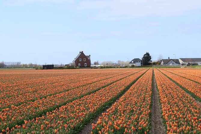 Small Group Keukenhof and Delft Guided Tour from Amsterdam - What the day costs in time and comfort
