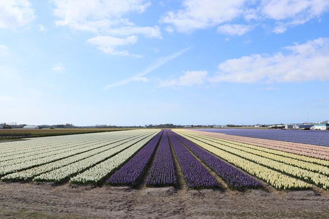 Small Group Keukenhof and Delft Guided Tour from Amsterdam - Who should book this spring day?