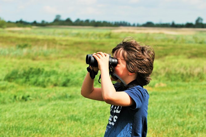 Small Group Tour to NP Hoge Veluwe (van Gogh) from Amsterdam - Is $210.04 good value?