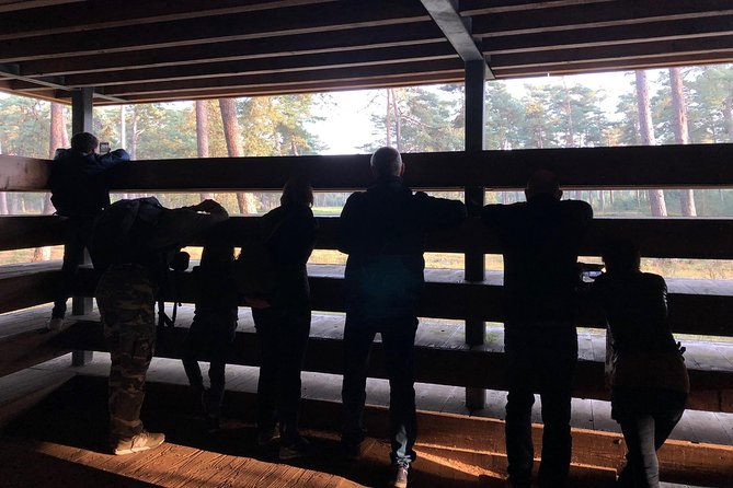 Small Group Tour to NP Hoge Veluwe (van Gogh) from Amsterdam - Who will enjoy this day trip most?