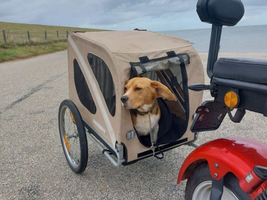 Texel: E-Scooter Rental - Riding toward Texel’s northern lighthouse