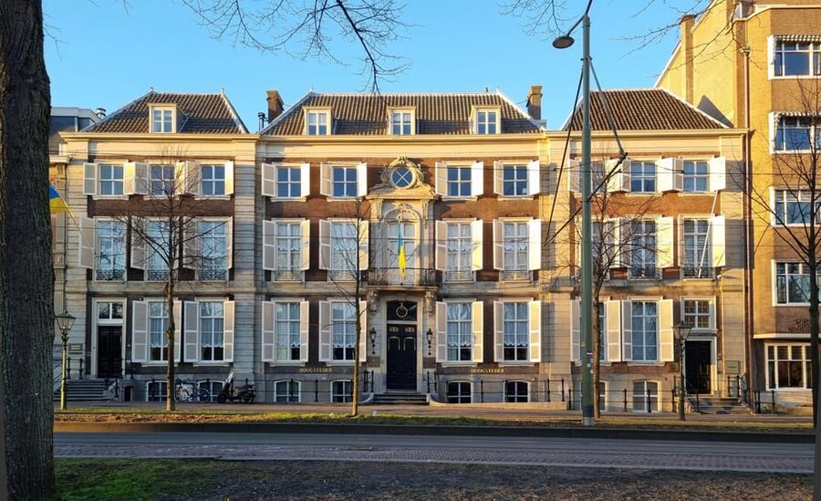 The Hague: City Walking Tour - Timing, languages, weather, and access