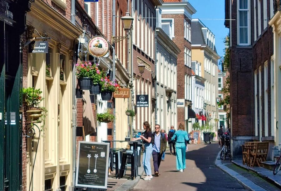The Hague: City Walking Tour - The guide makes the $9 price worthwhile