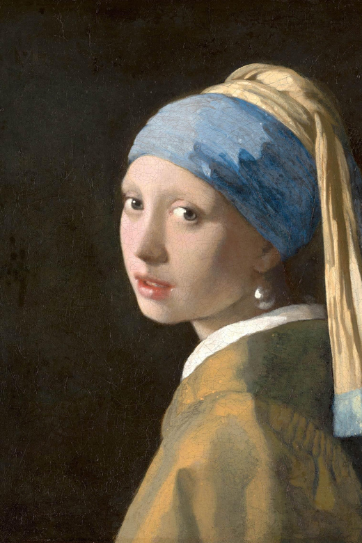 The Hague & Delft: The Girl with the Pearl Earring - Who should book this experience