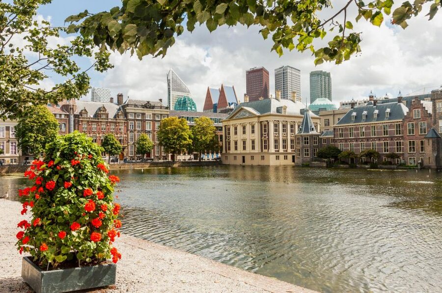 The Hague: Express Walk with a Local in 60 minutes - Starting at Escher in Het Paleis