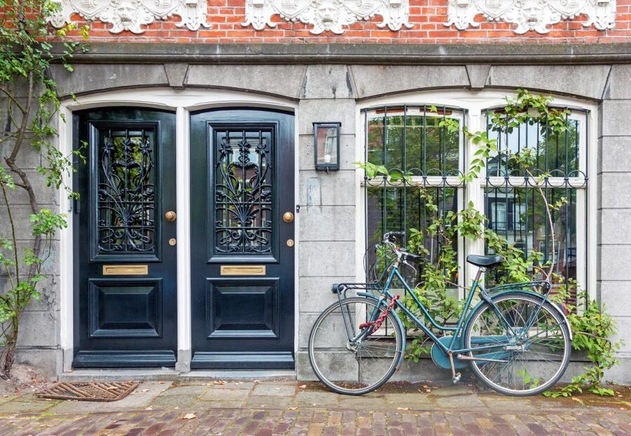 The Hague: Express Walk with a Local in 60 minutes - Escher in Het Paleis and the Mauritshuis