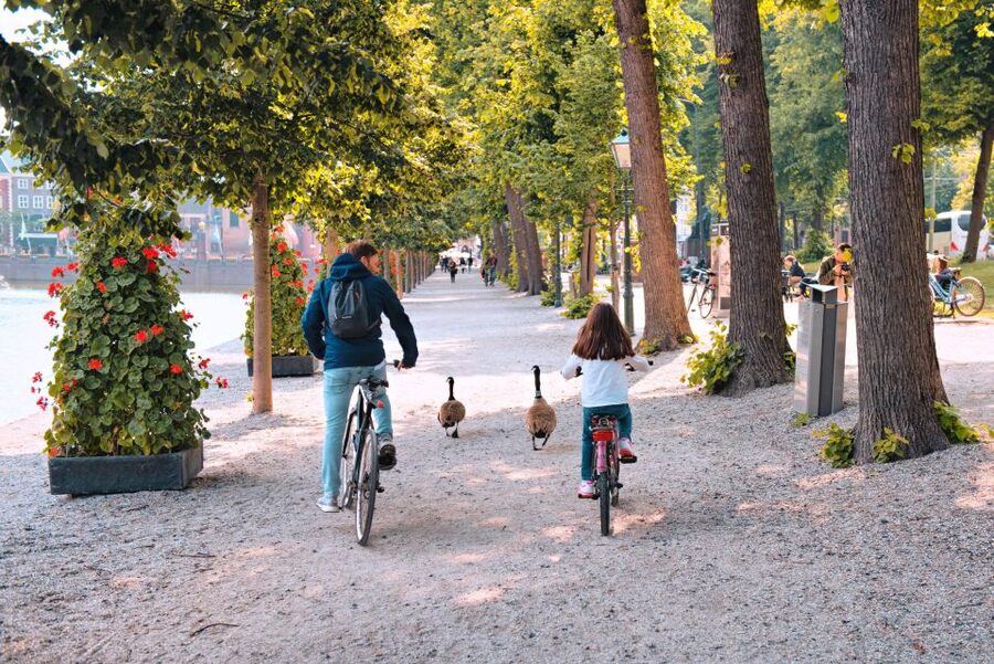 The Hague: Highlights Bike Tour - Key points at a glance