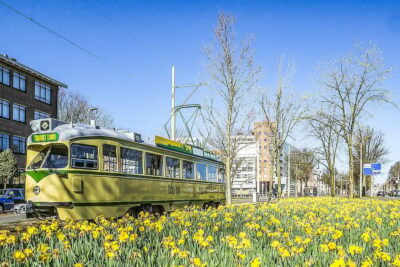 Hop-on Hop-off Old-Fashioned Heritage Tram Tour