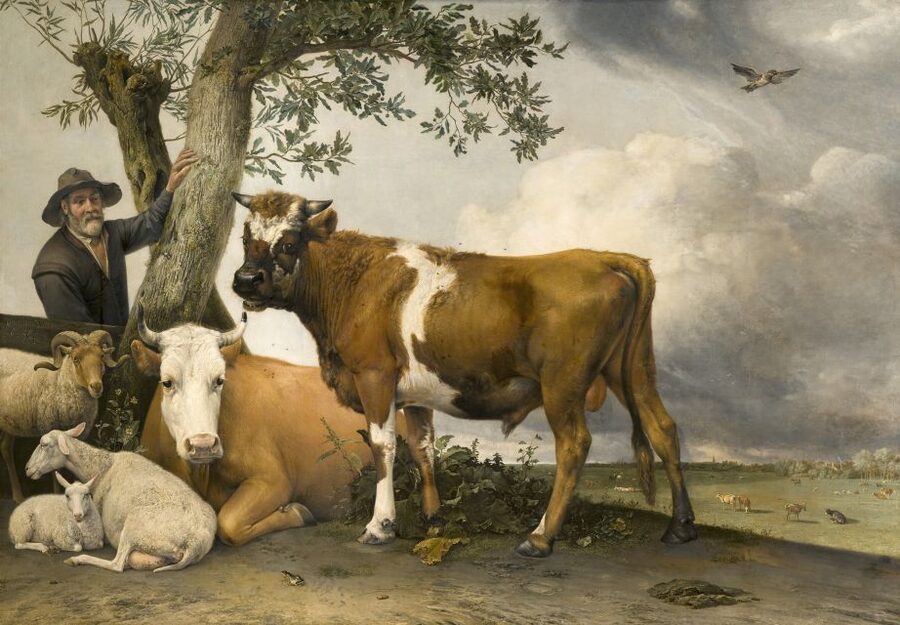 The Hague: Mauritshuis Entrance Ticket - Is the $25 ticket good value?