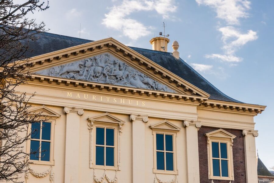 The Hague: Mauritshuis Entrance Ticket - A 90-minute route that works
