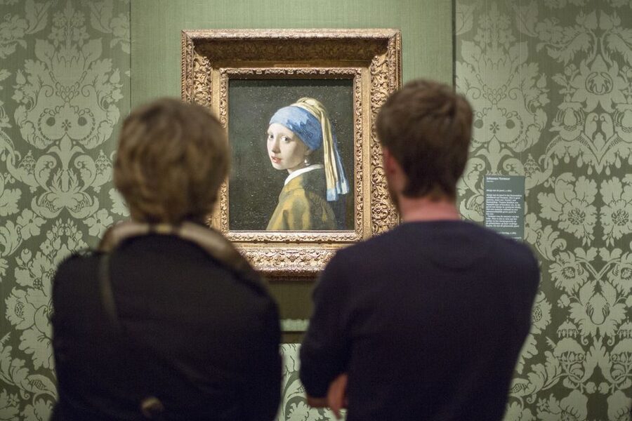 The Hague: Mauritshuis Entrance Ticket - The palace rooms are more than a backdrop