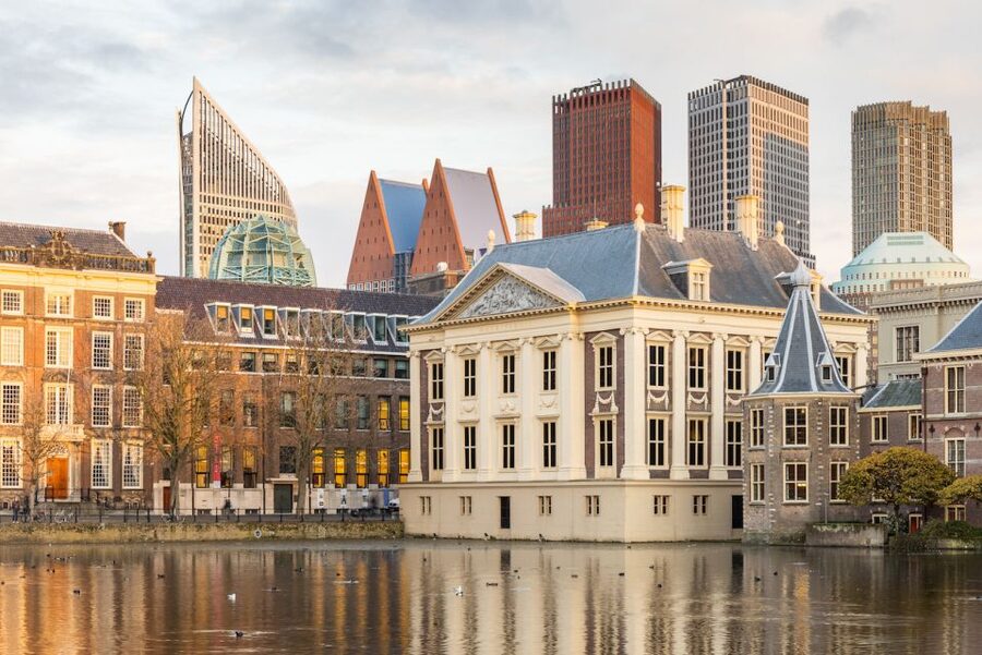 The Hague: Mauritshuis Entrance Ticket - Temporary exhibitions and the 2026 bird display
