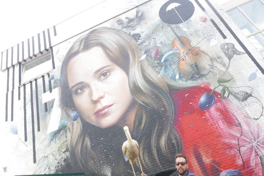The Hague: Street Art Tour by Bike - Practical advice for a smooth ride