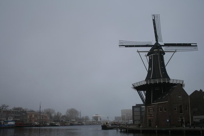 The rise of Haarlem: Culture, History, Art and Architecture Walking Tour - Art, Teylers Museum, and Haarlem’s creative side