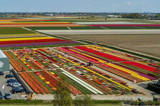 Tour to Giethoorn and Keukenhof Tulip Fields from Amsterdam - A private vehicle changes the feel of the day