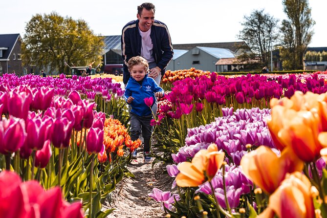 Tulip Experience and Keukenhof Flower Gardens Tour from Amsterdam - Why this tour works well from Amsterdam