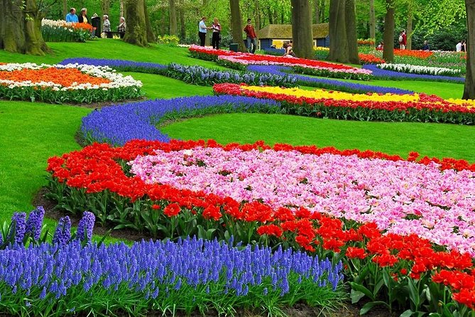 Tulip Experience and Keukenhof Flower Gardens Tour from Amsterdam - Flexible departures and crowd control