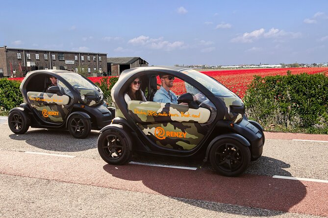 Tulip Fields near Keukenhof - Self-Drive Audio Tour for 2 People - Following the GPS audio route through the bulb region