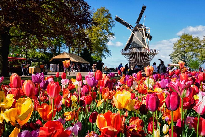 Tulip Paradise: Keukenhof Half-Day Private Tour - The 9:00 AM hotel pickup keeps the morning simple