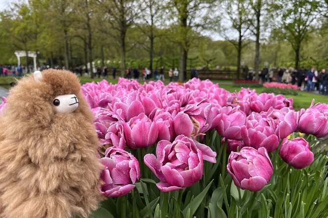 Tulip Paradise: Keukenhof Half-Day Private Tour - Why three hours inside the garden feels about right